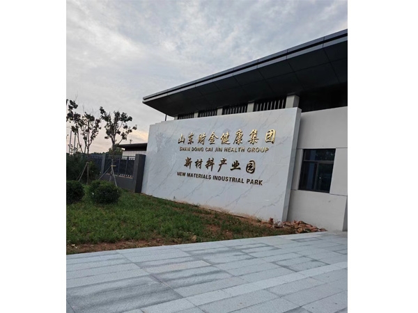 案例展示