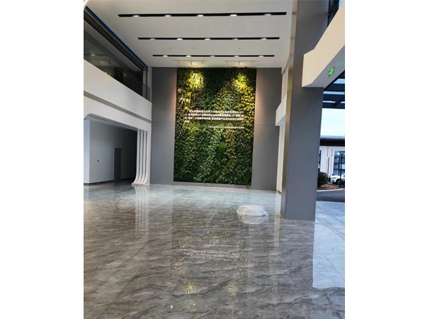 案例展示
